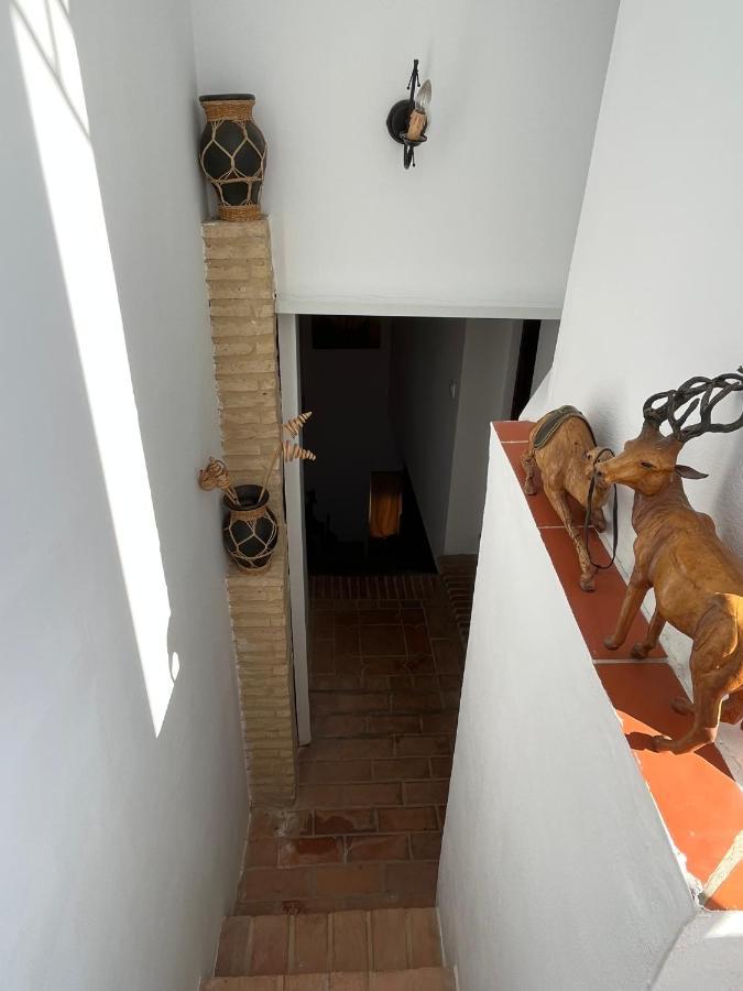 Esencia De Arcos Lägenhet Arcos de la Frontera Exteriör bild